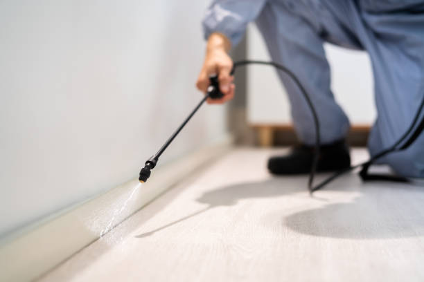 Licensed Cockroach Control service in Many, LA - Nex Pest Control