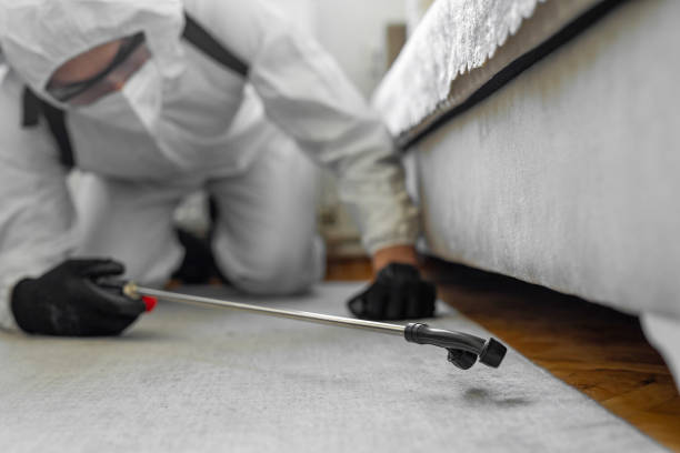 Professional Cockroach Control technician working in Many, LA