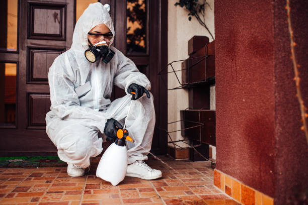 Reliable Cockroach Control contractor in Many, LA by Nex Pest Control