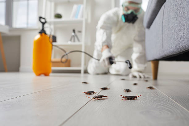 Affordable Cockroach Control solutions in Many, LA