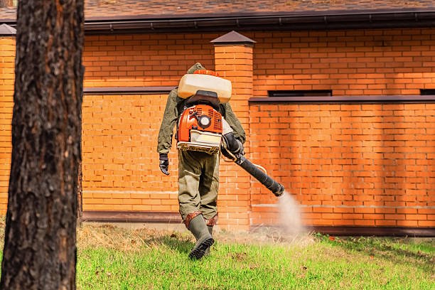 Top rated local Cockroach Control specialists in Many, LA